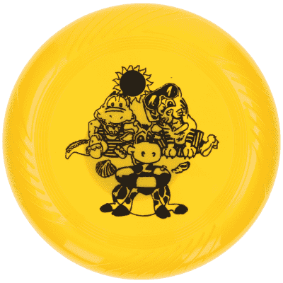 Frisbee assorti 24 cm
