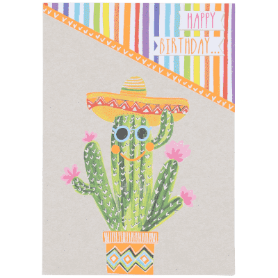 Wk 23 Verjaardag Cactus Confetti